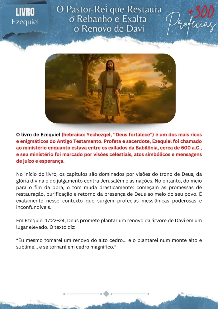 25-convert.io_11zon-e1749831098976.webp