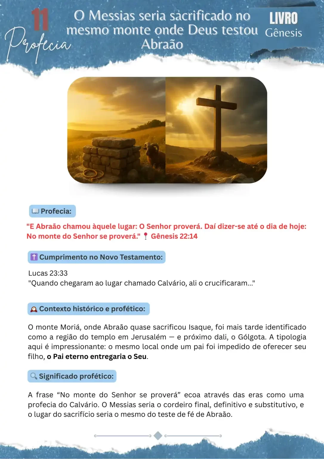 8-convert.io-1_11zon.webp